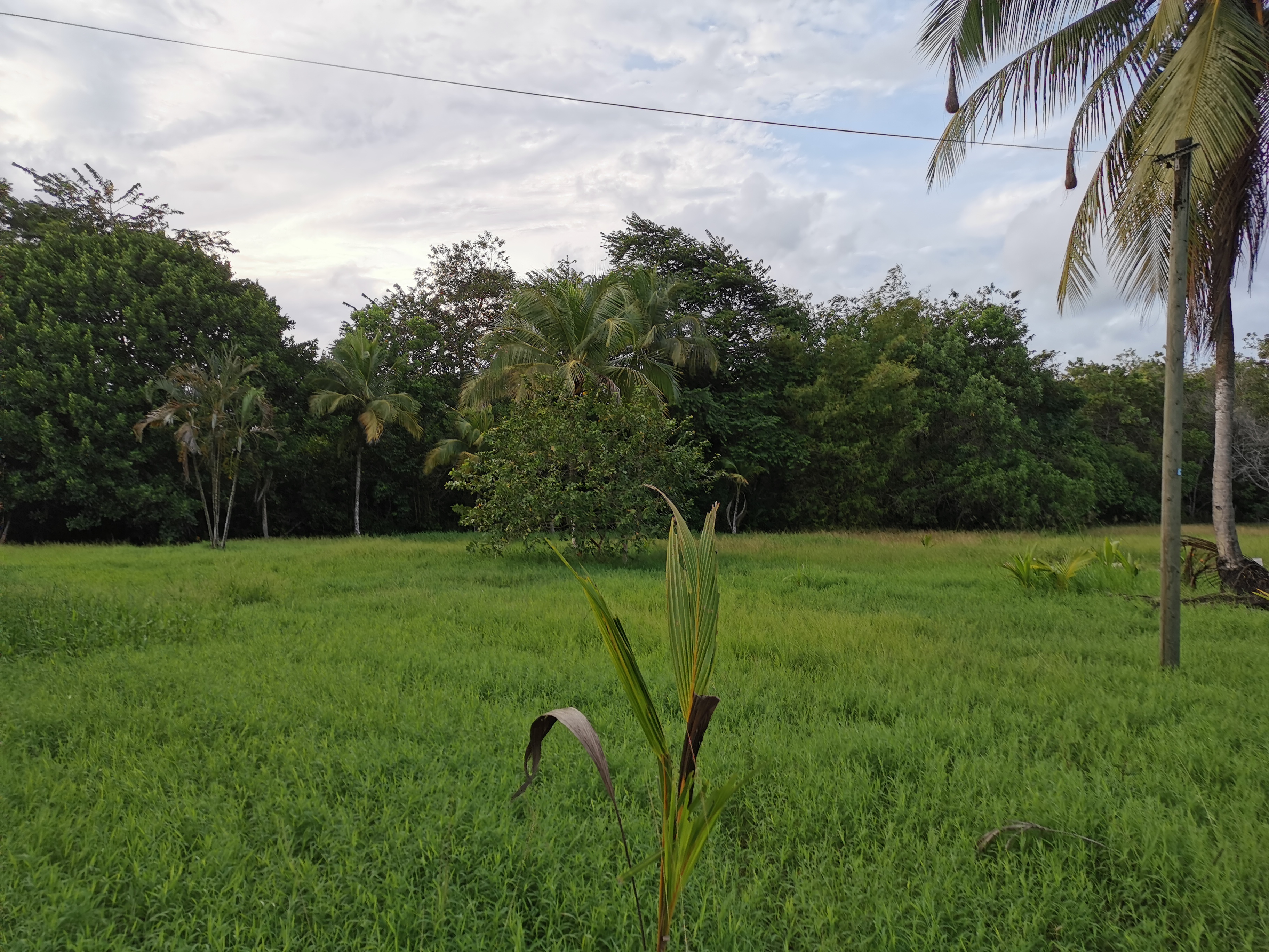 Parc Amazonien de Guyane
